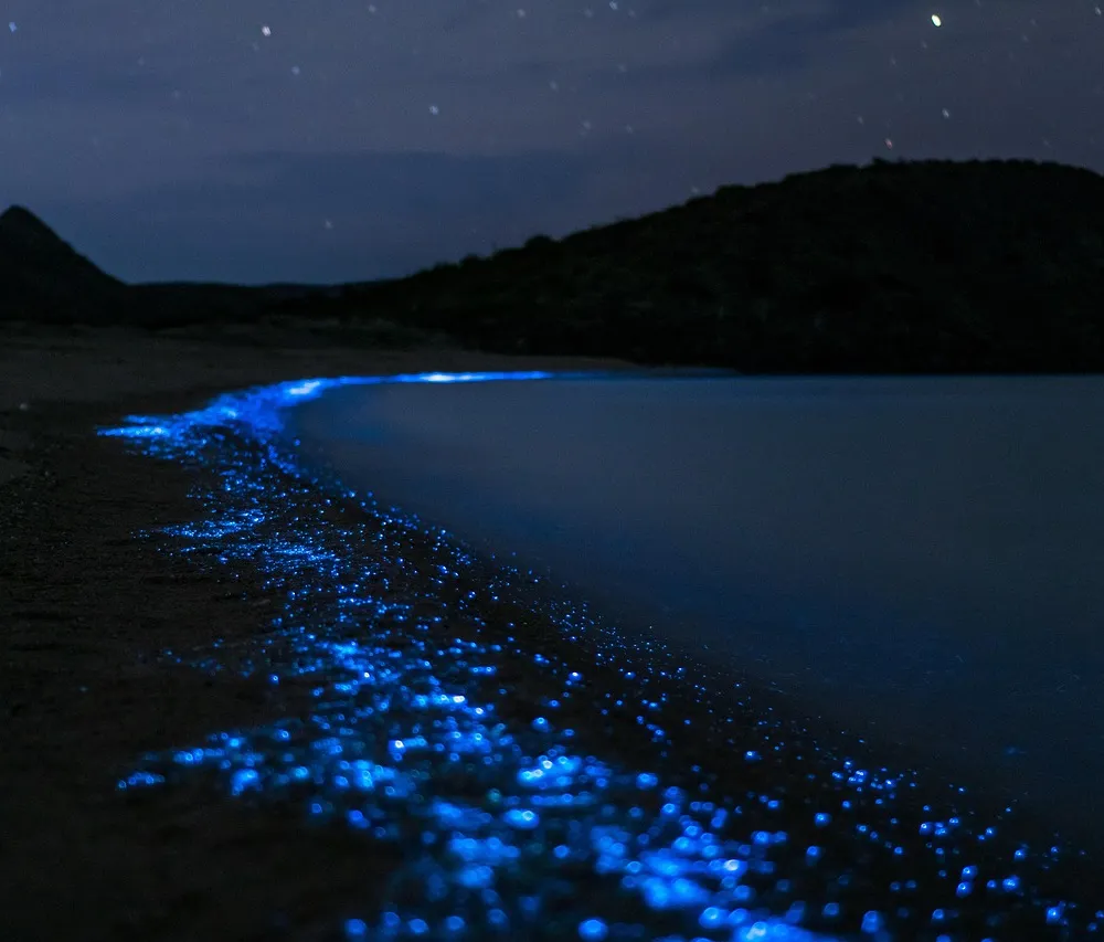 C'hwezh an deiz 10/04/2025