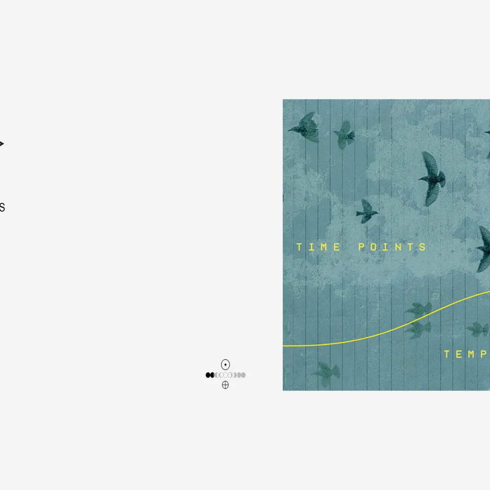 In Vacuum Noctis # 19