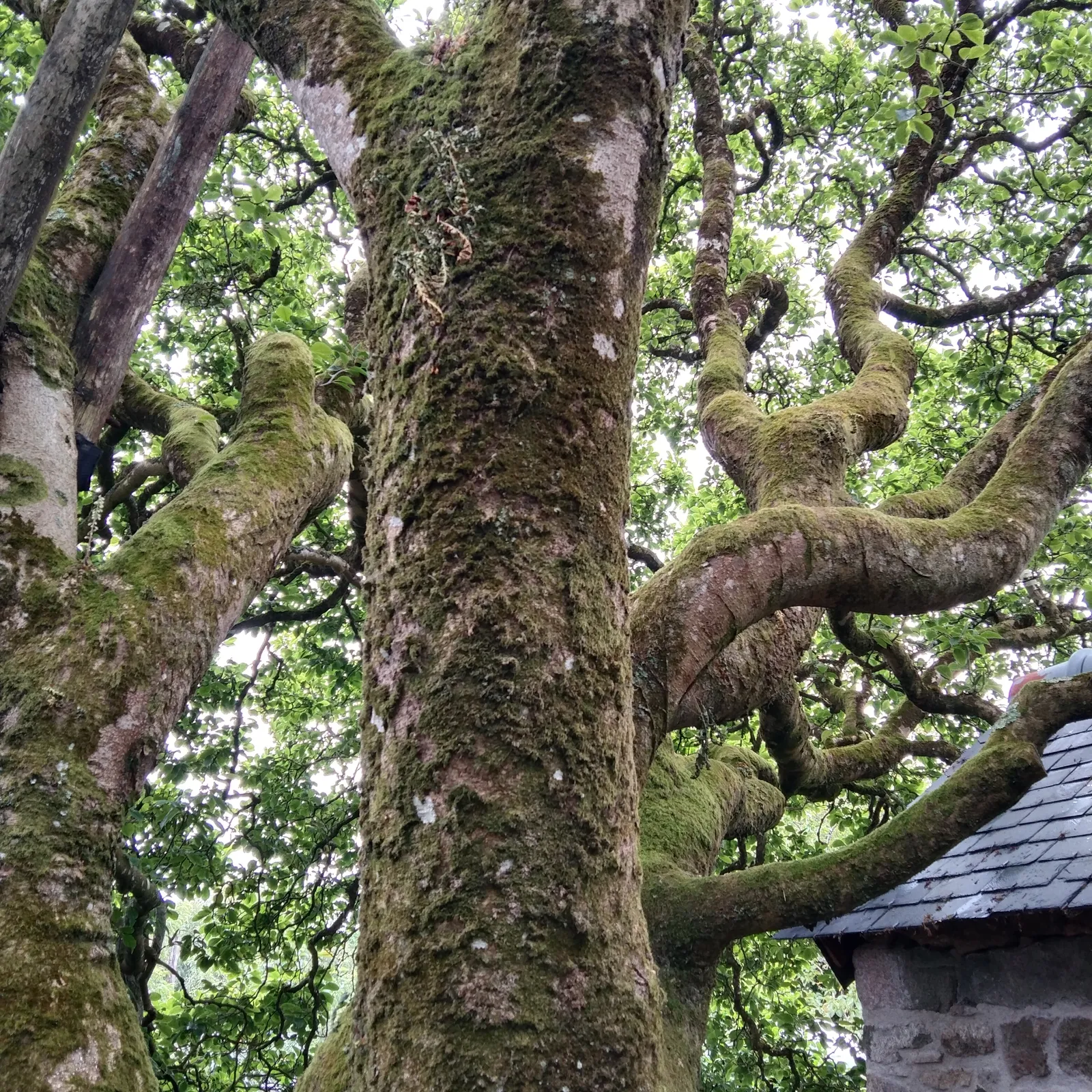  C'hwezh an Deiz 19/06/2023