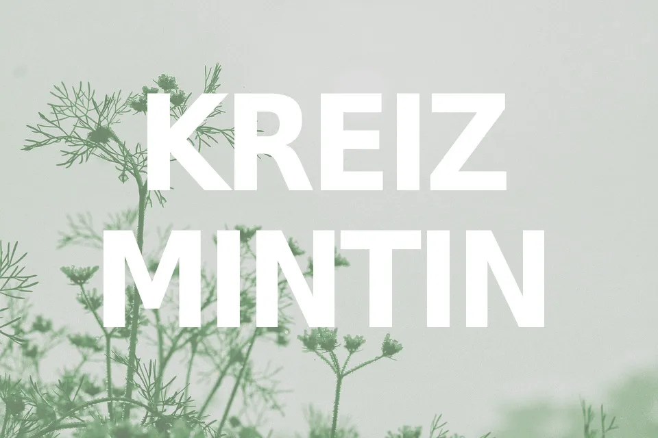 Kreiz Mintin