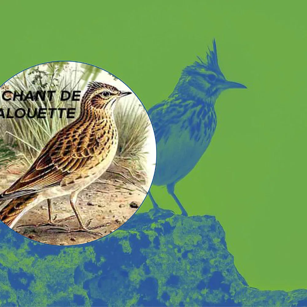 Le Chant de l'Alouette