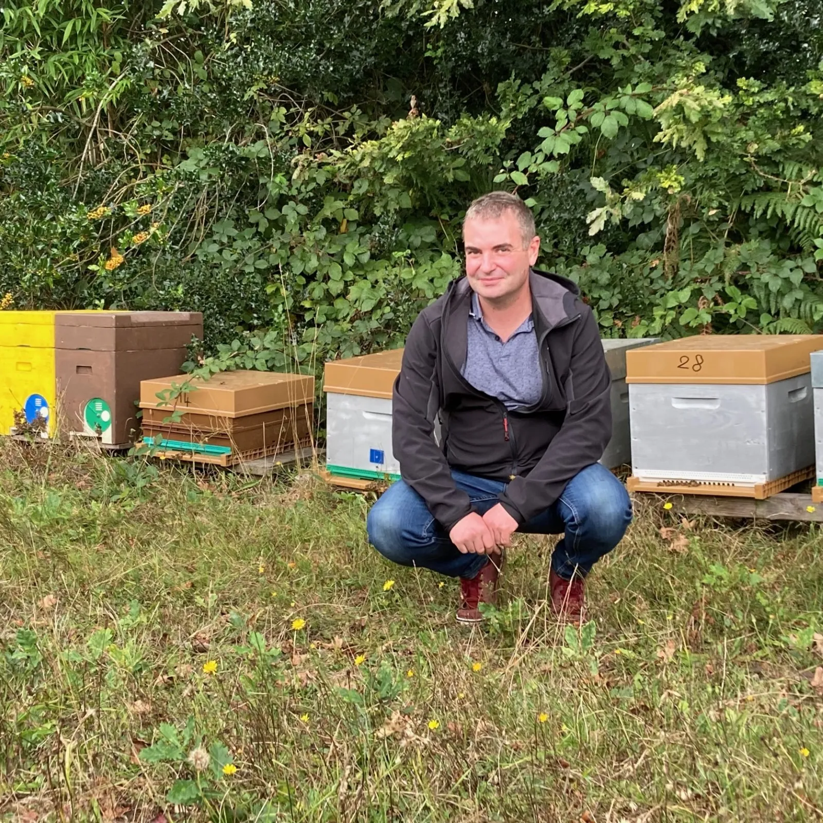 L'abeille de Napoléonville