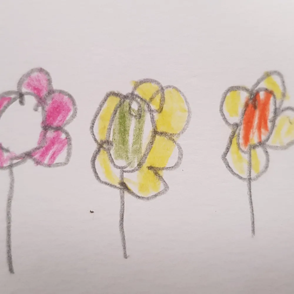 ATELIER RADIO => MONTFORT 2025 - Restitution