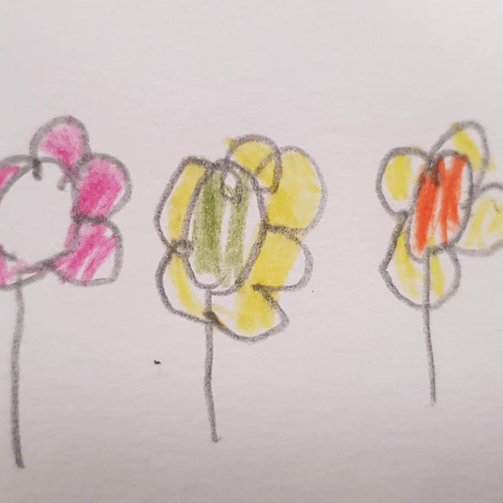 ATELIER RADIO => MONTFORT 2025 - Restitution