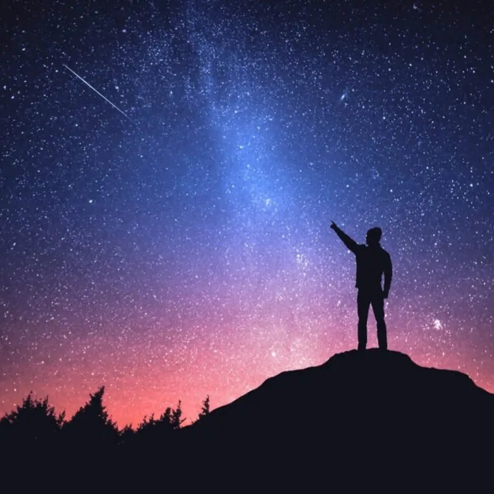 Sous les lumières de la nuit