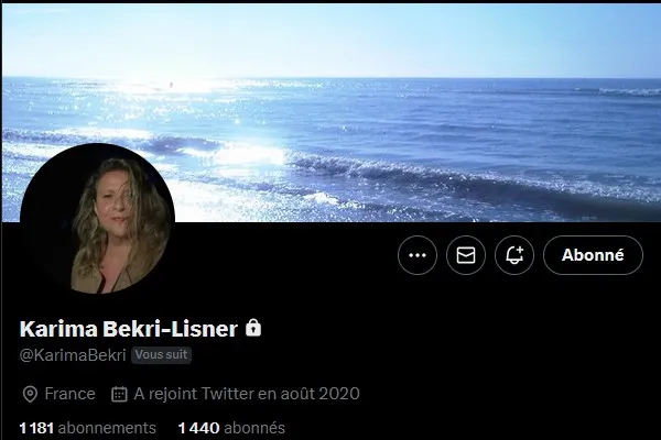 Trans Vinyl Express #182