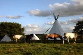 Fest noz organisé par le camp ado de la ferme à Tremargat
