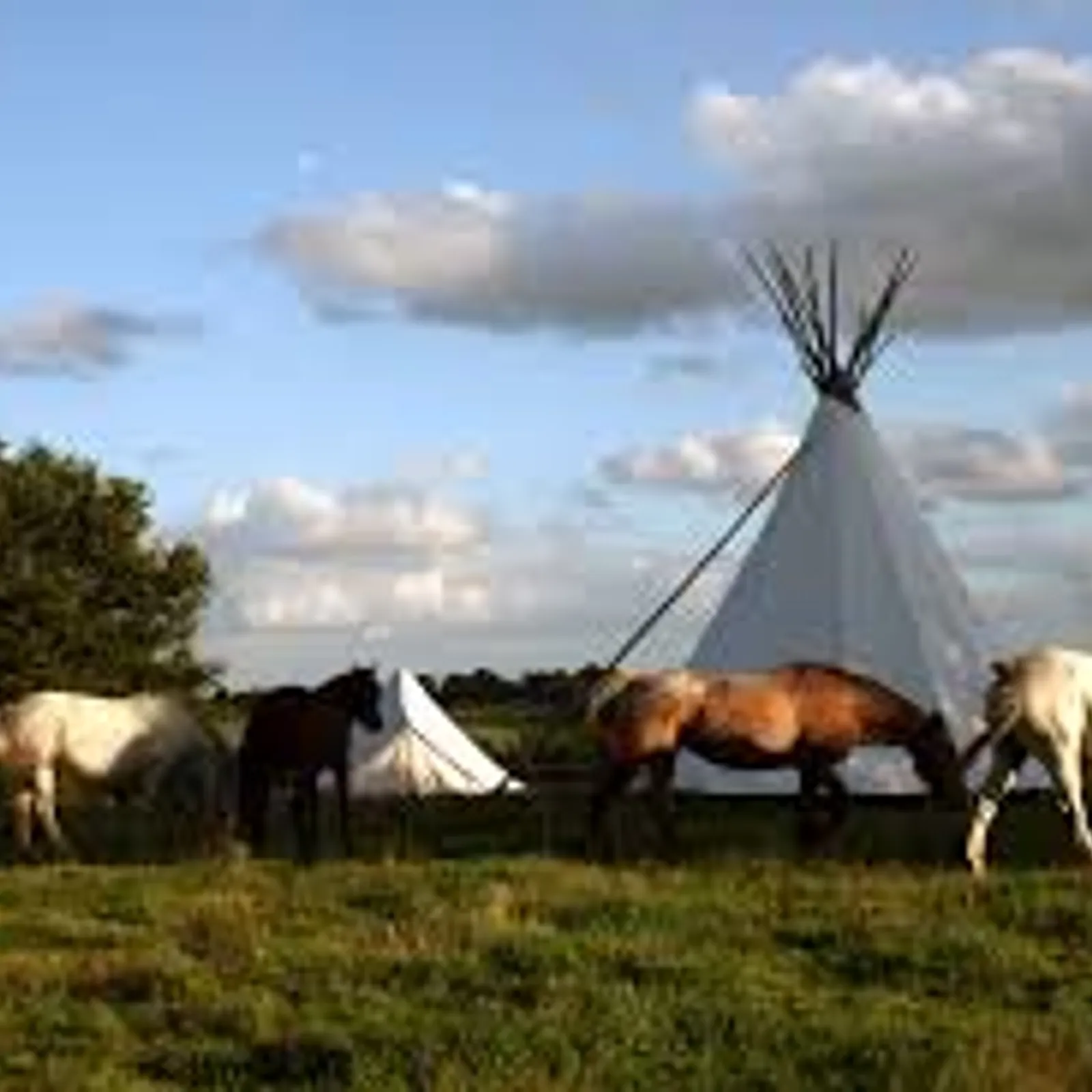 Fest noz organisé par le camp ado de la ferme à Tremargat