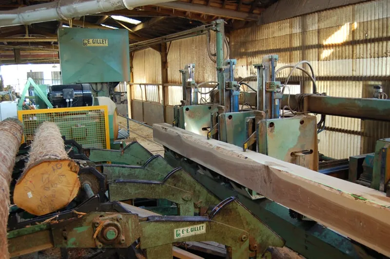 Merlin lance sa scierie fixe  : "on veut du bois d'ici!"