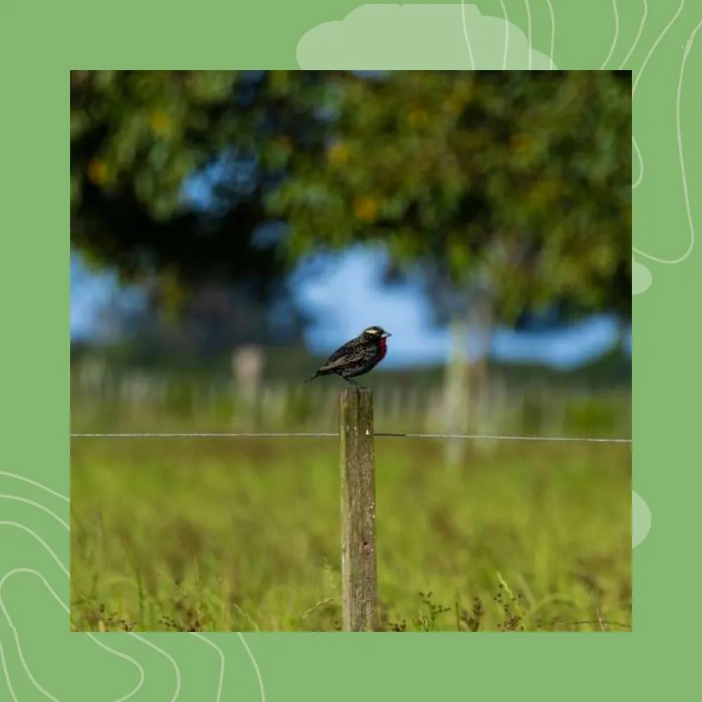 1- Laboused 1-3 : an deroù