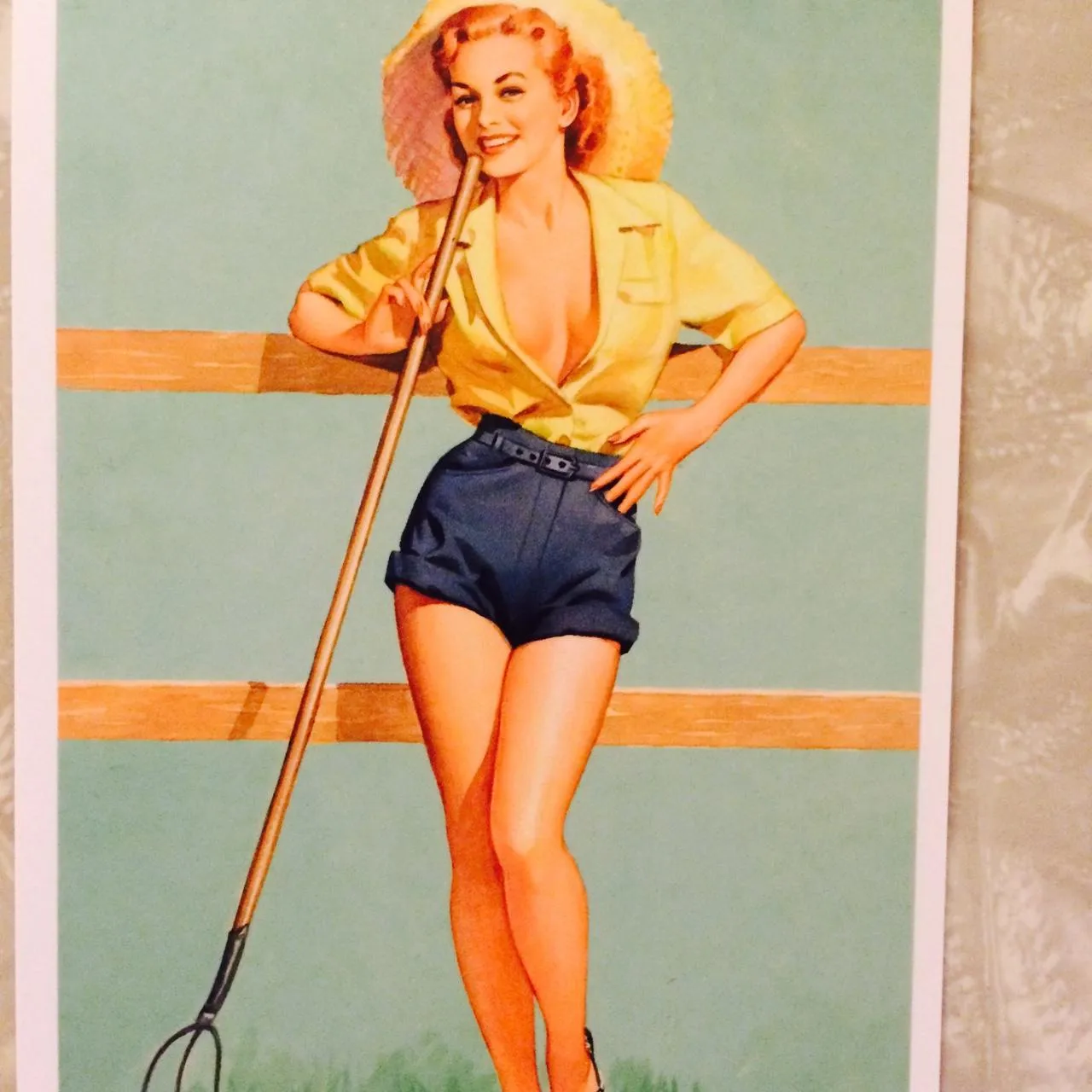 Trans Vinyl Express #163