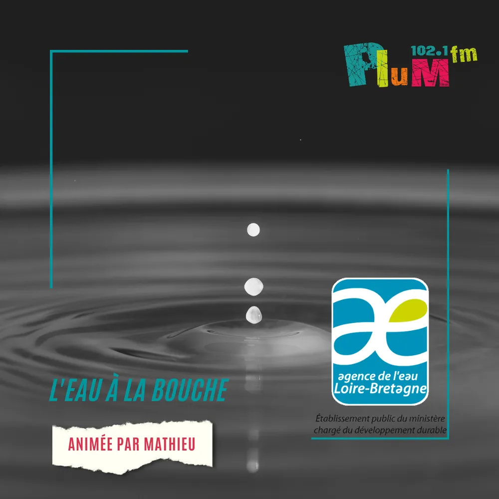 L'EAU A LA BOUCHE-CONSULTATION PUBLIQUE SUR L EAU ET LES INONDATIONS