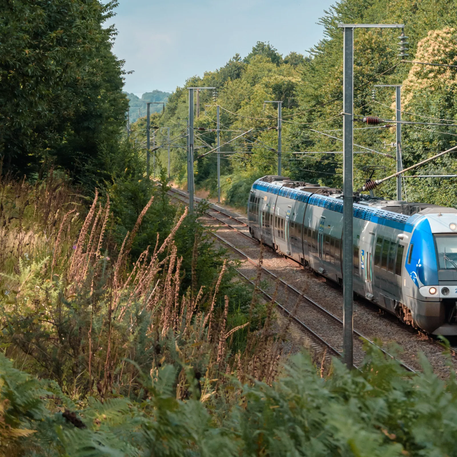 Avel em fenn - Lun 10 a viz C'hwevrer