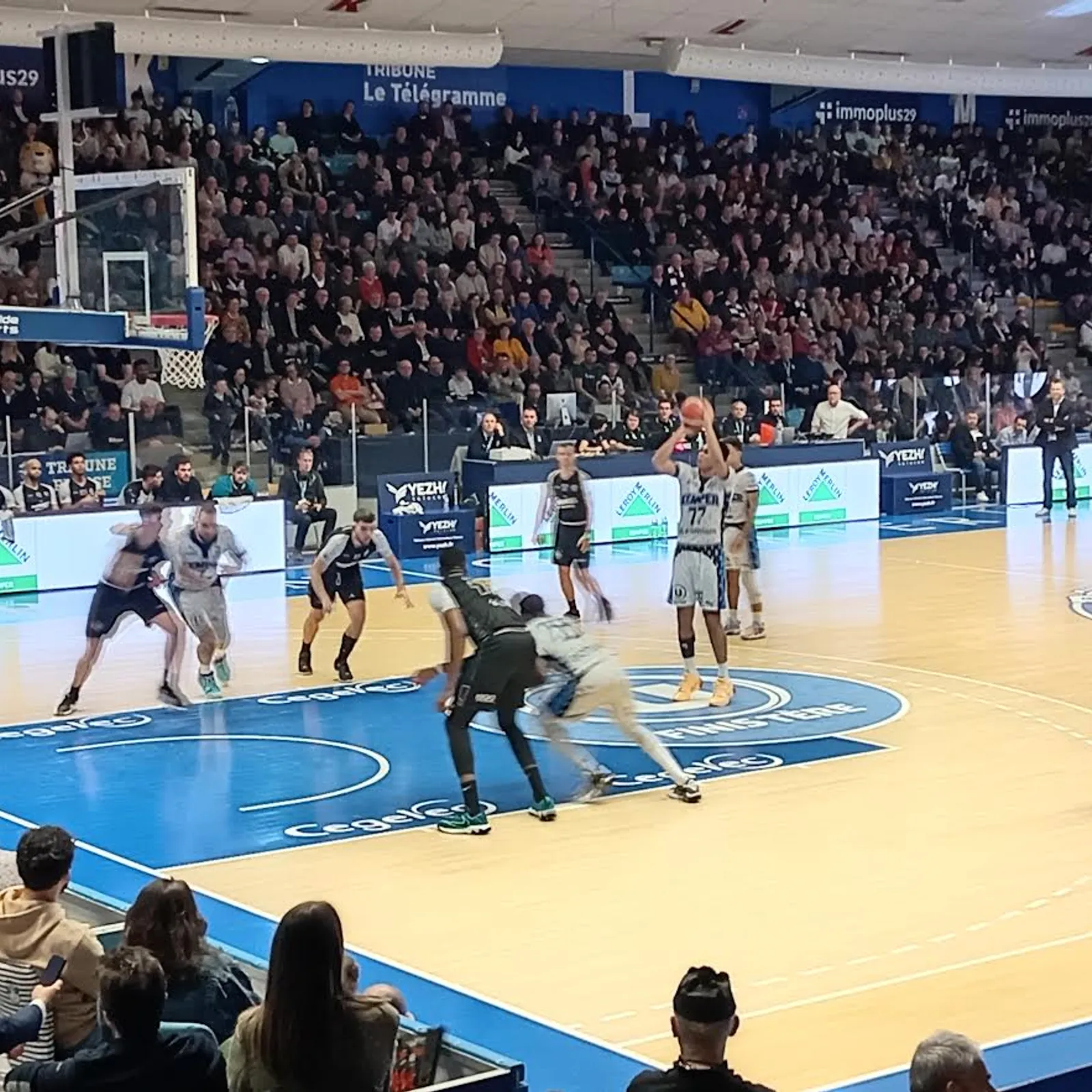 Basket N1: Meot Kemper vs an Havr-nevez, ur c'hrogad evit pignat e Pro B