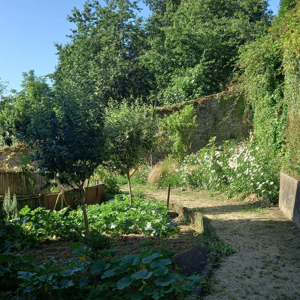Un jardin partagé à Pontivy