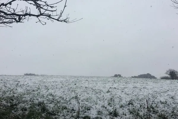 Il faut travailler, il faut travailler !