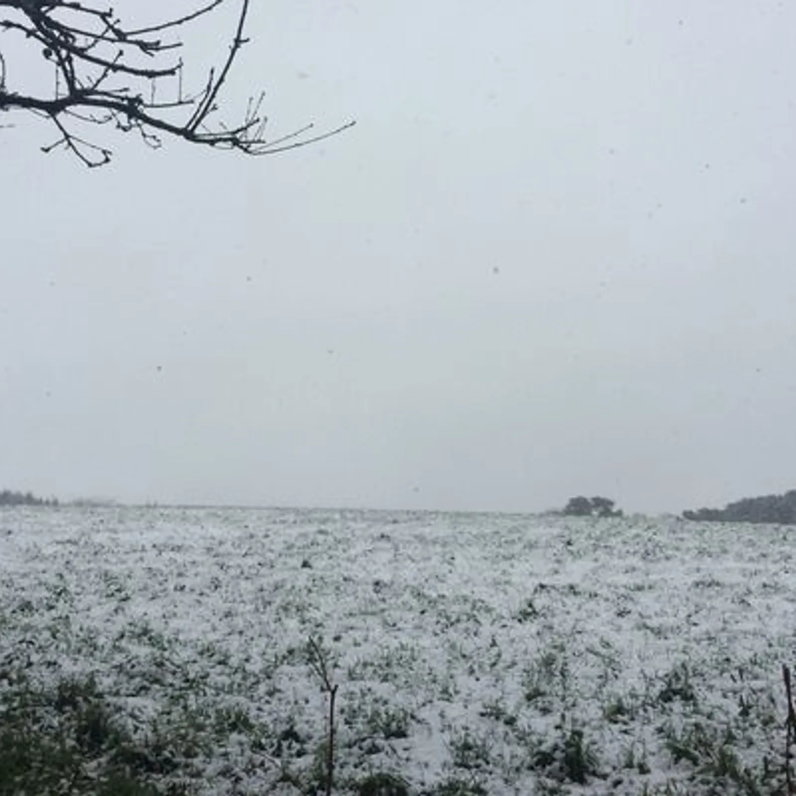 Ha 'ranker labourat, 'ranker labourat !