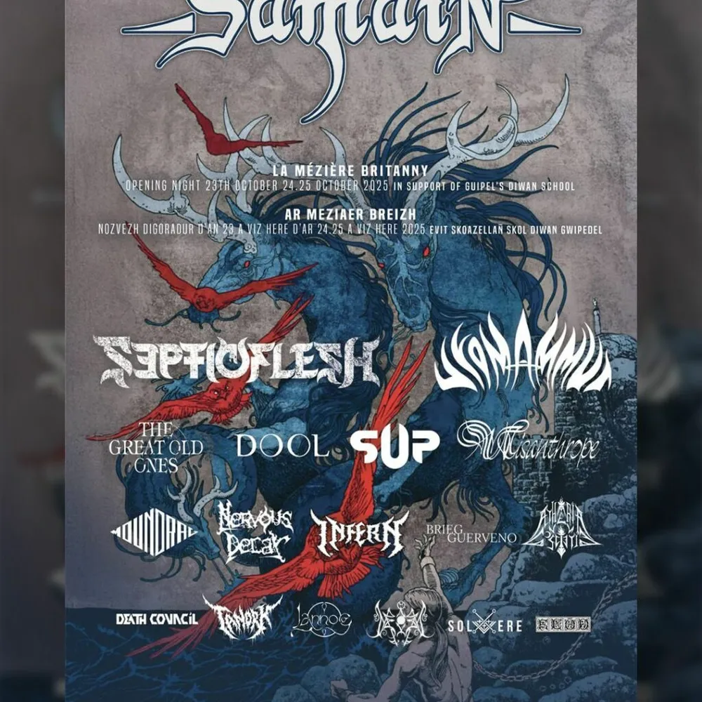 DIR HA TAN 99 "Putting Wings on a Pig"