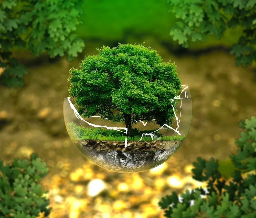 LE LAB U #27 LA COMPENSATION ECOLOGIQUE