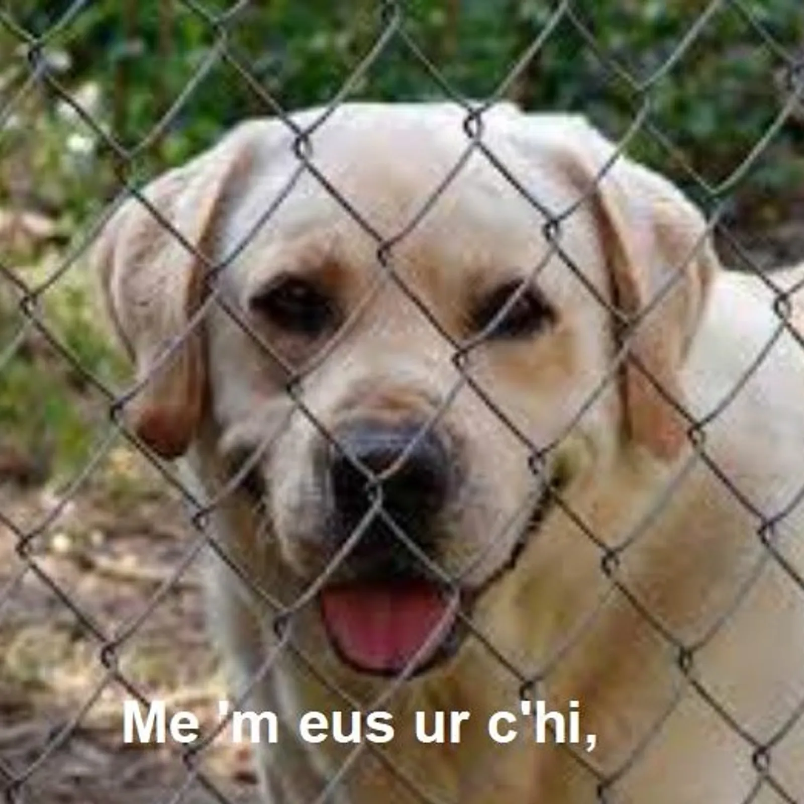 Cours n°96