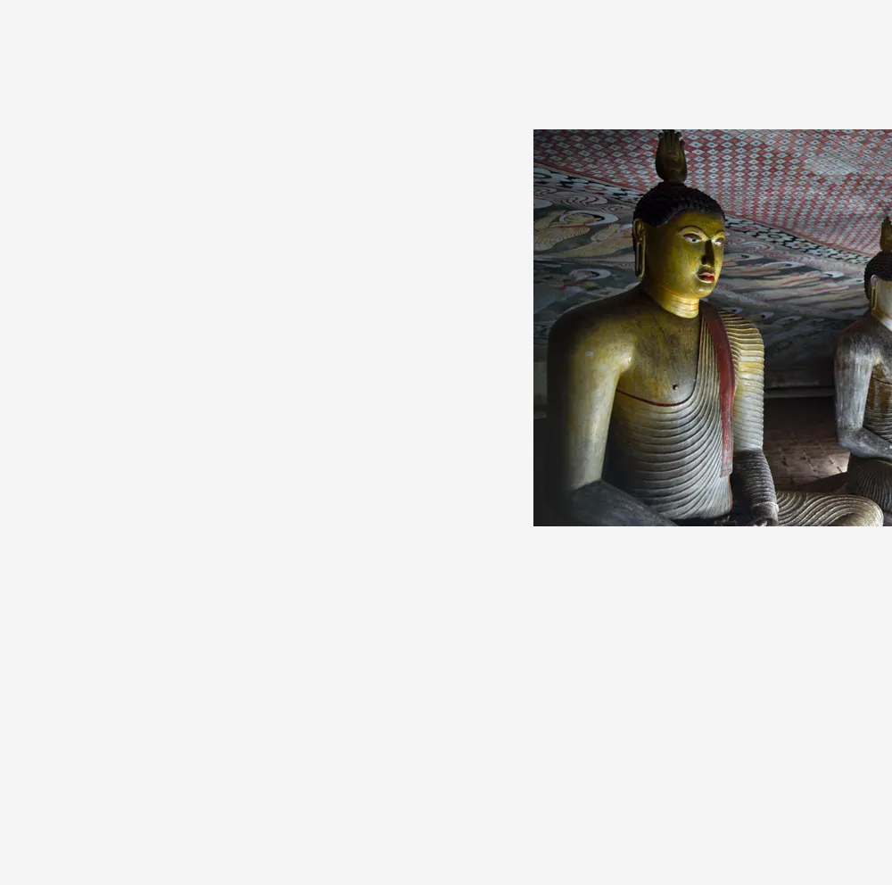 In Vacuum Noctis # 8