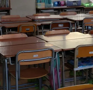 Maryline Pollet - Skolaerez