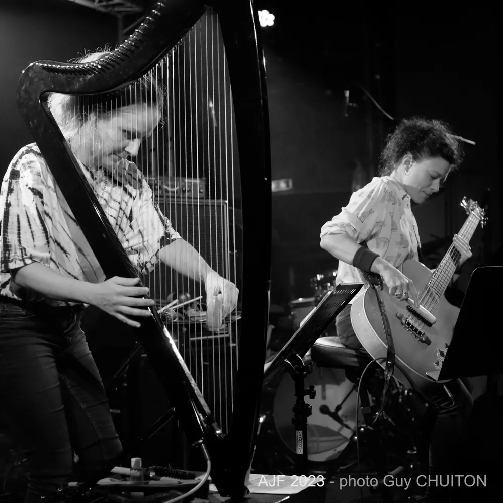 La Harpe vagabonde de Rafaelle Rinaudo 