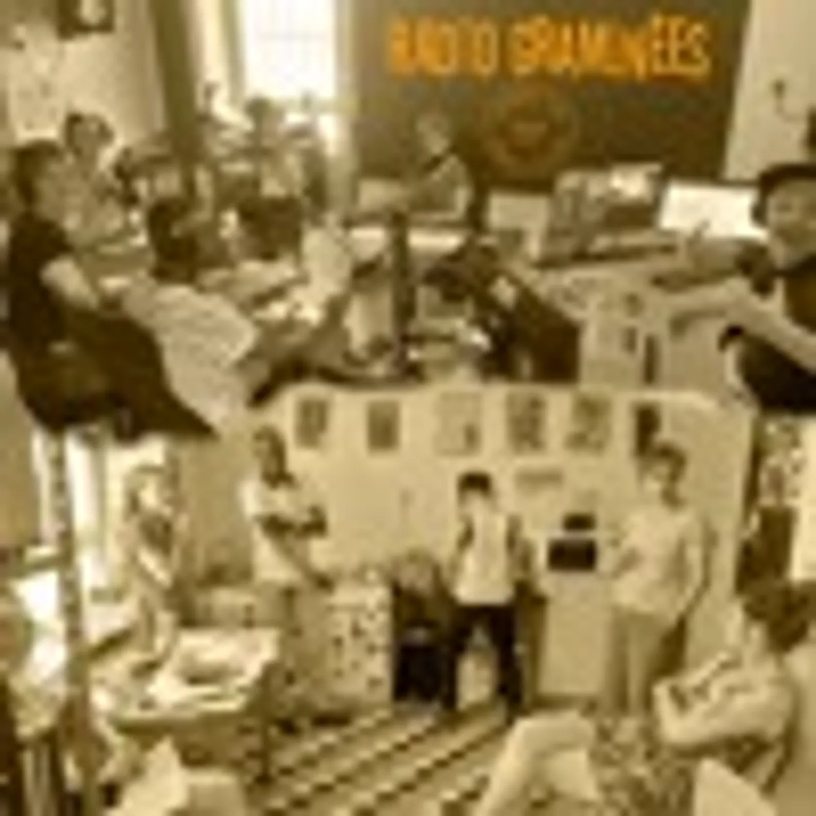 LE TIMBRE LIBRE - RADIO GRAMINÉES - Formation "Créer & animer son émission" Direct du 19/07/24