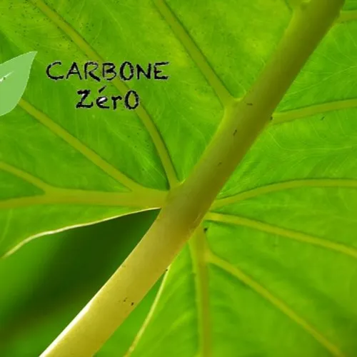 CARBONE ZÉRO