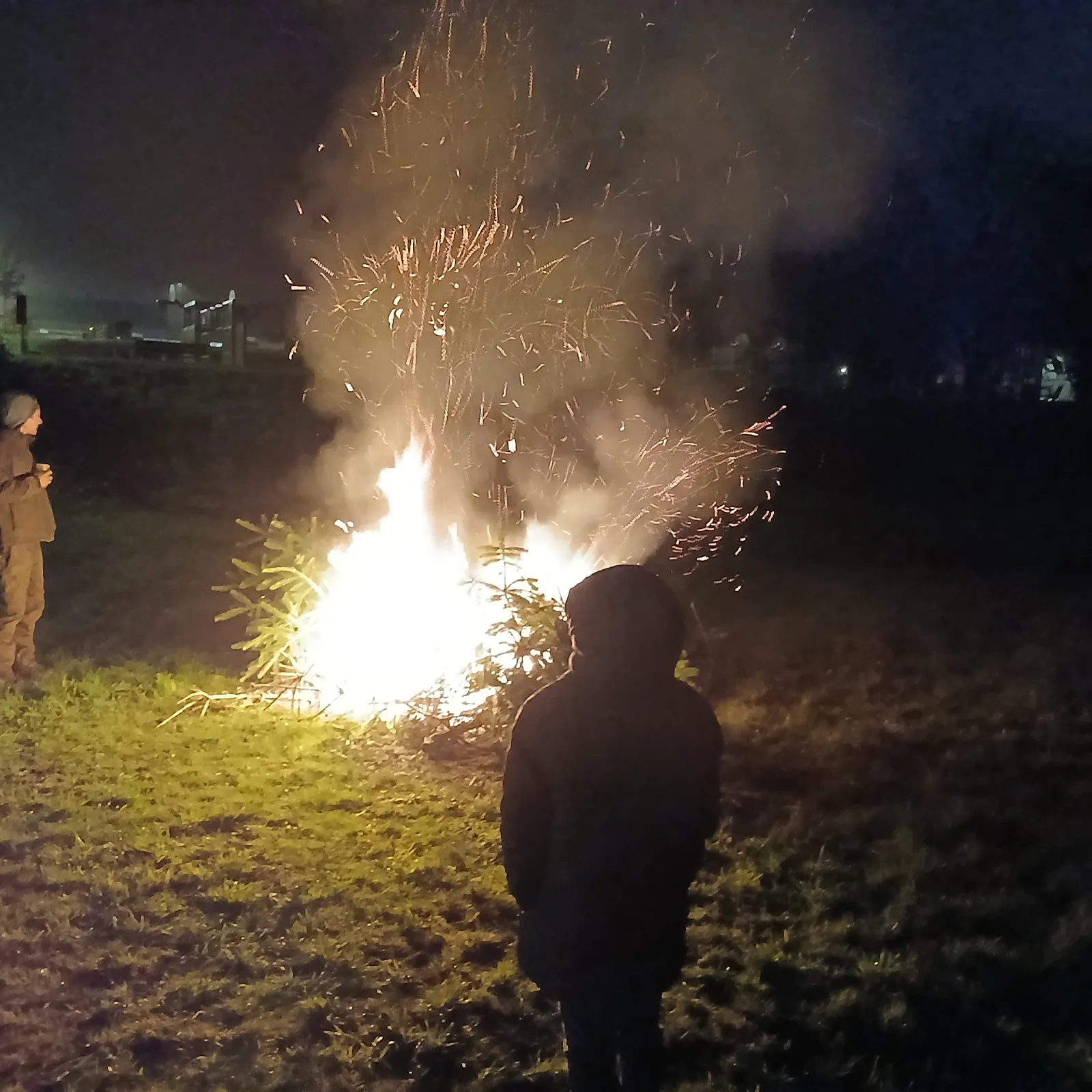 Tantad sapined e Kawan