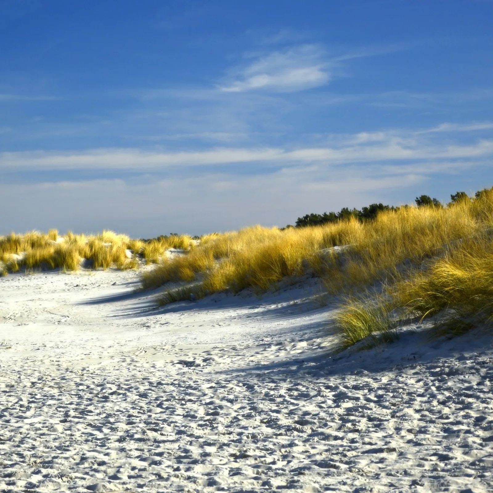 C'hwezh an Deiz 22/11/2023