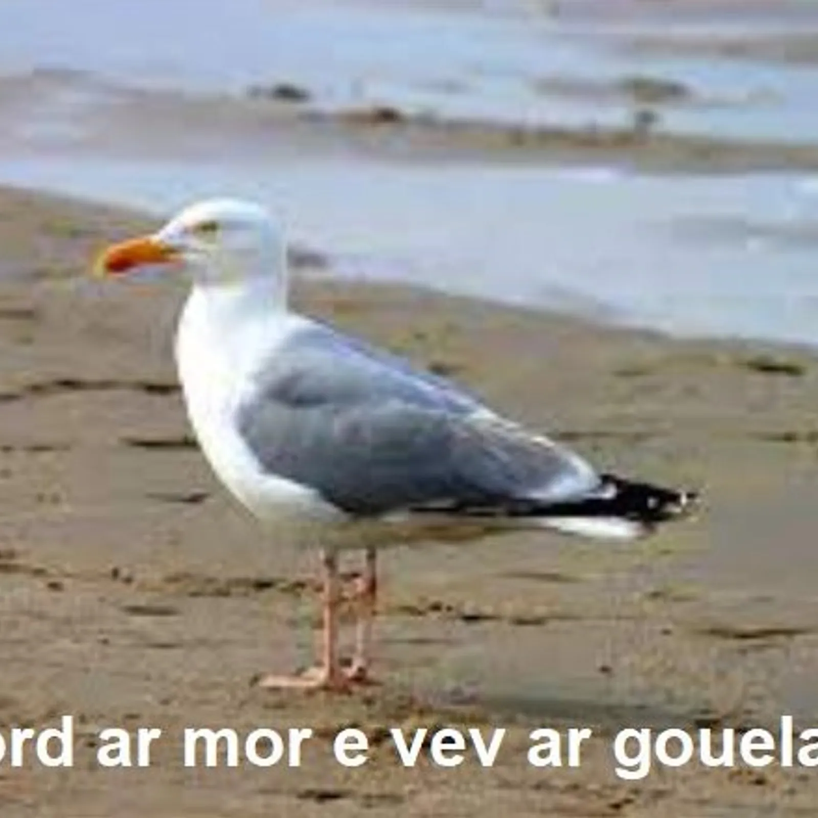 Cours n°195