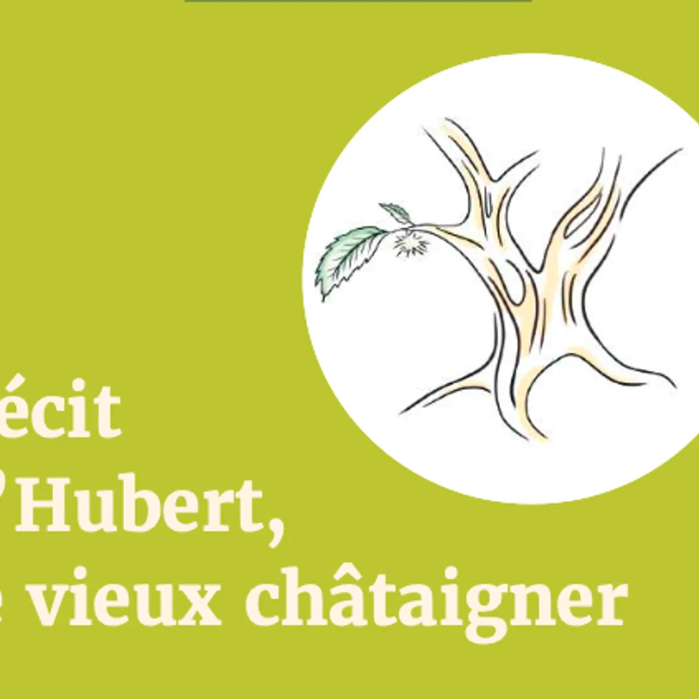 Hubert, le vieux châtaignier
