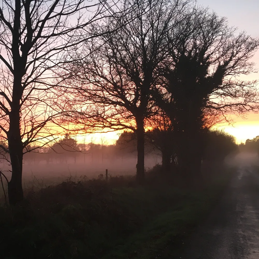 L'Arbre paysan - entretien avec le naturaliste Jean-Luc Le Jeanne - Episode 1