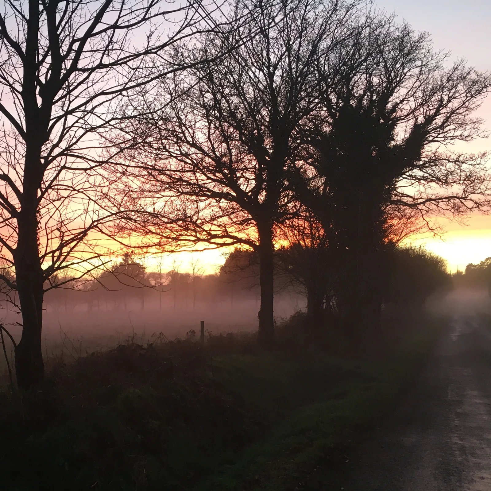 L'Arbre paysan - entretien avec le naturaliste Jean-Luc Le Jeanne - Episode 1
