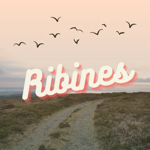 Traverser la nuit avec Bénédicte de Kersabiec et Nathalie Le Roux, photographes de Brest