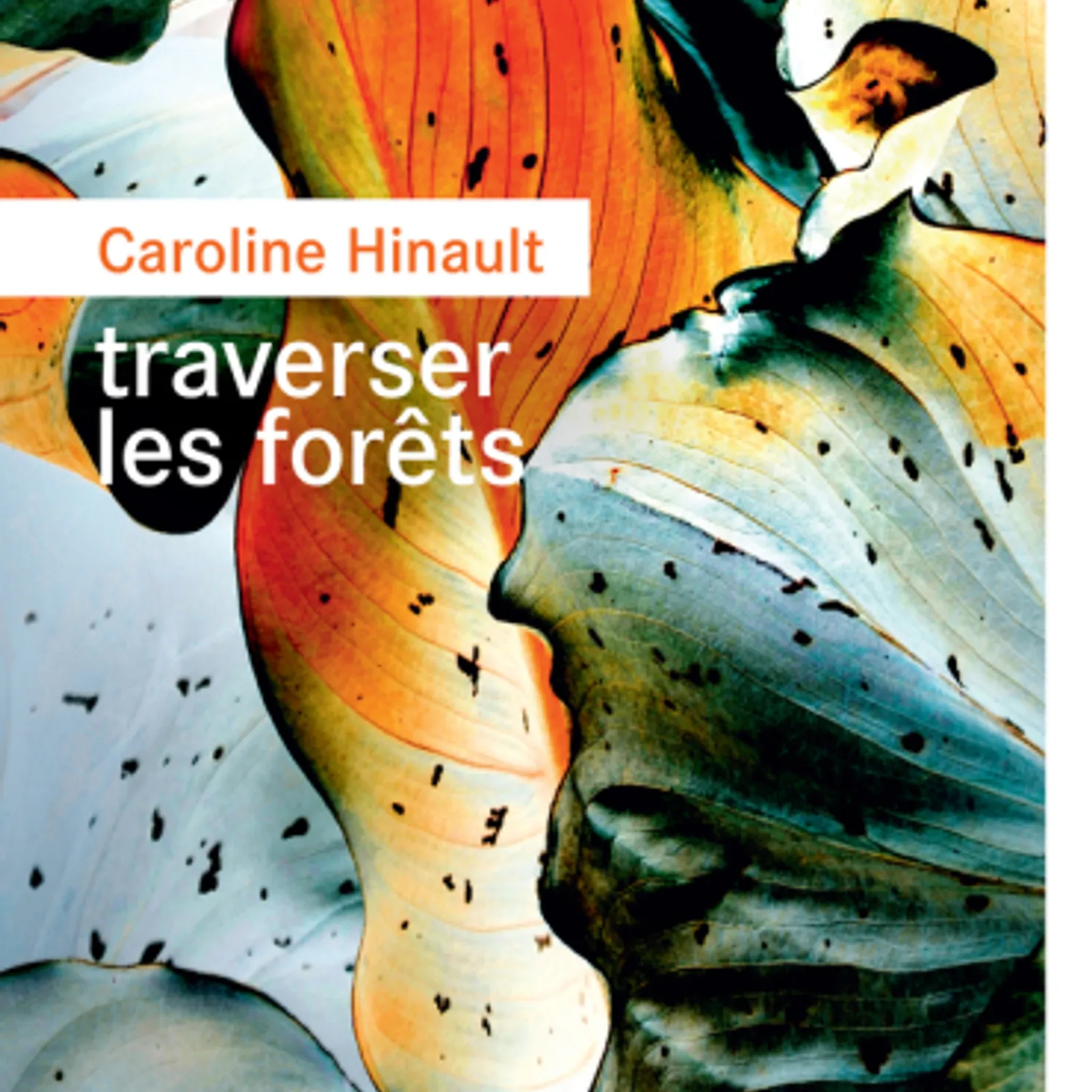 Traverser les forêts