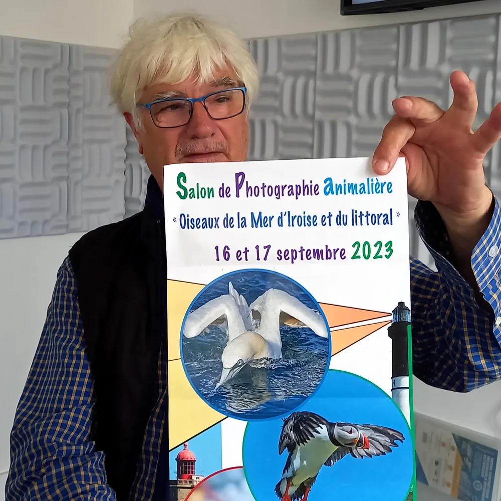 Portraits des oiseaux de la mer d'Iroise