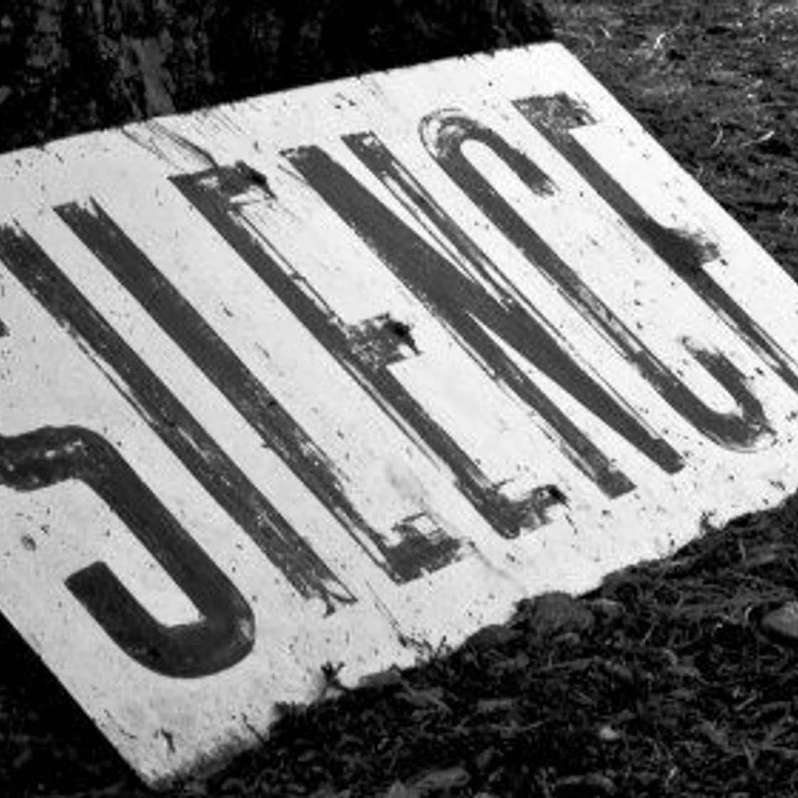 Le Silence Crie lui aussi ...
