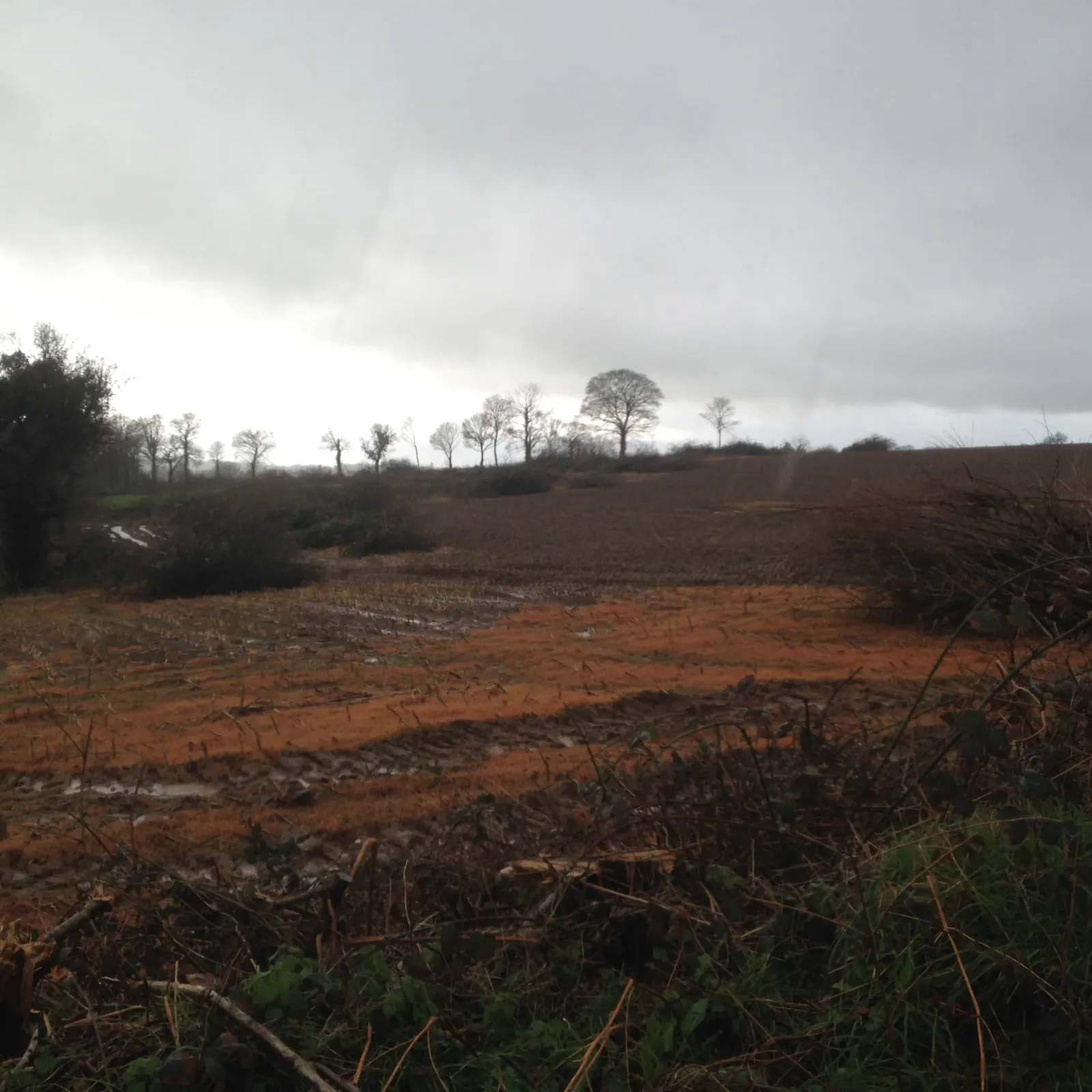 Kallag : harz da ziskar ar girzhier !