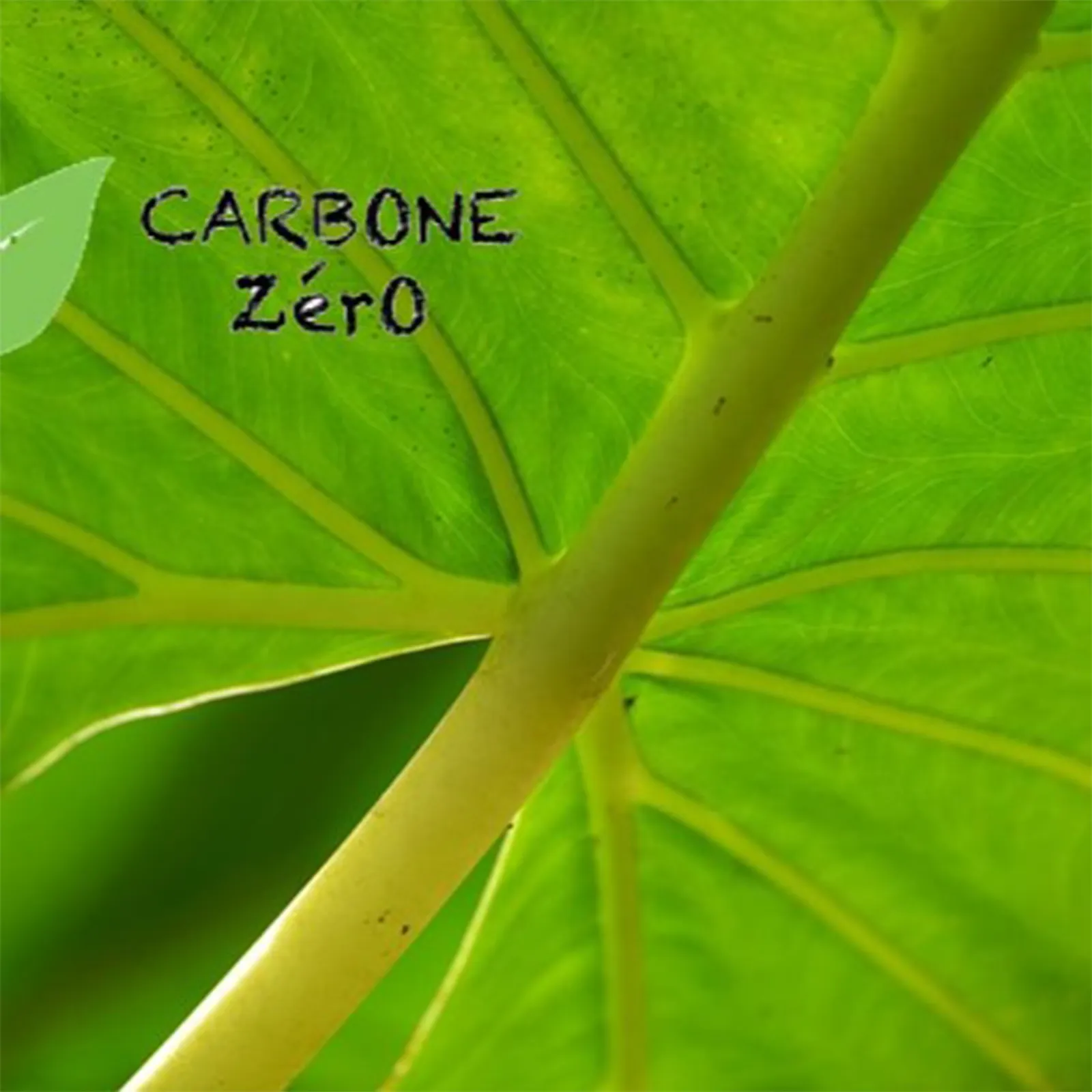 TEASER - CARBONE ZÉRO