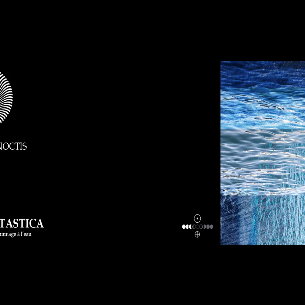 In Vacuum Noctis # 20