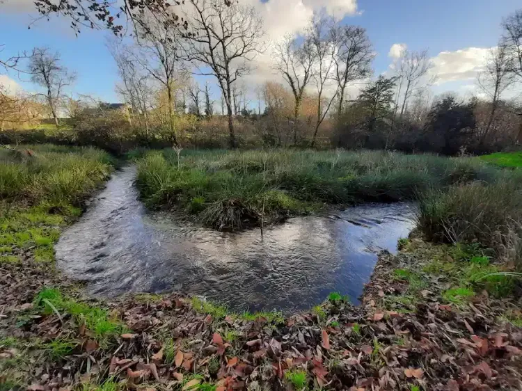 A l'écoute du Lapic