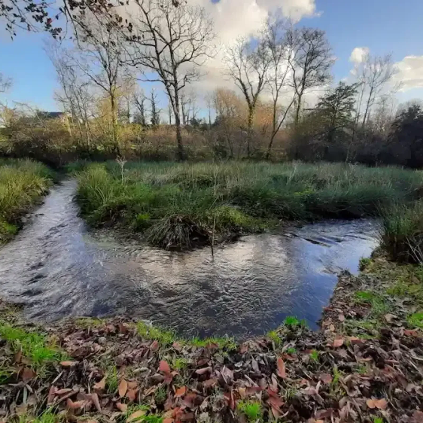 A l'écoute du Lapic