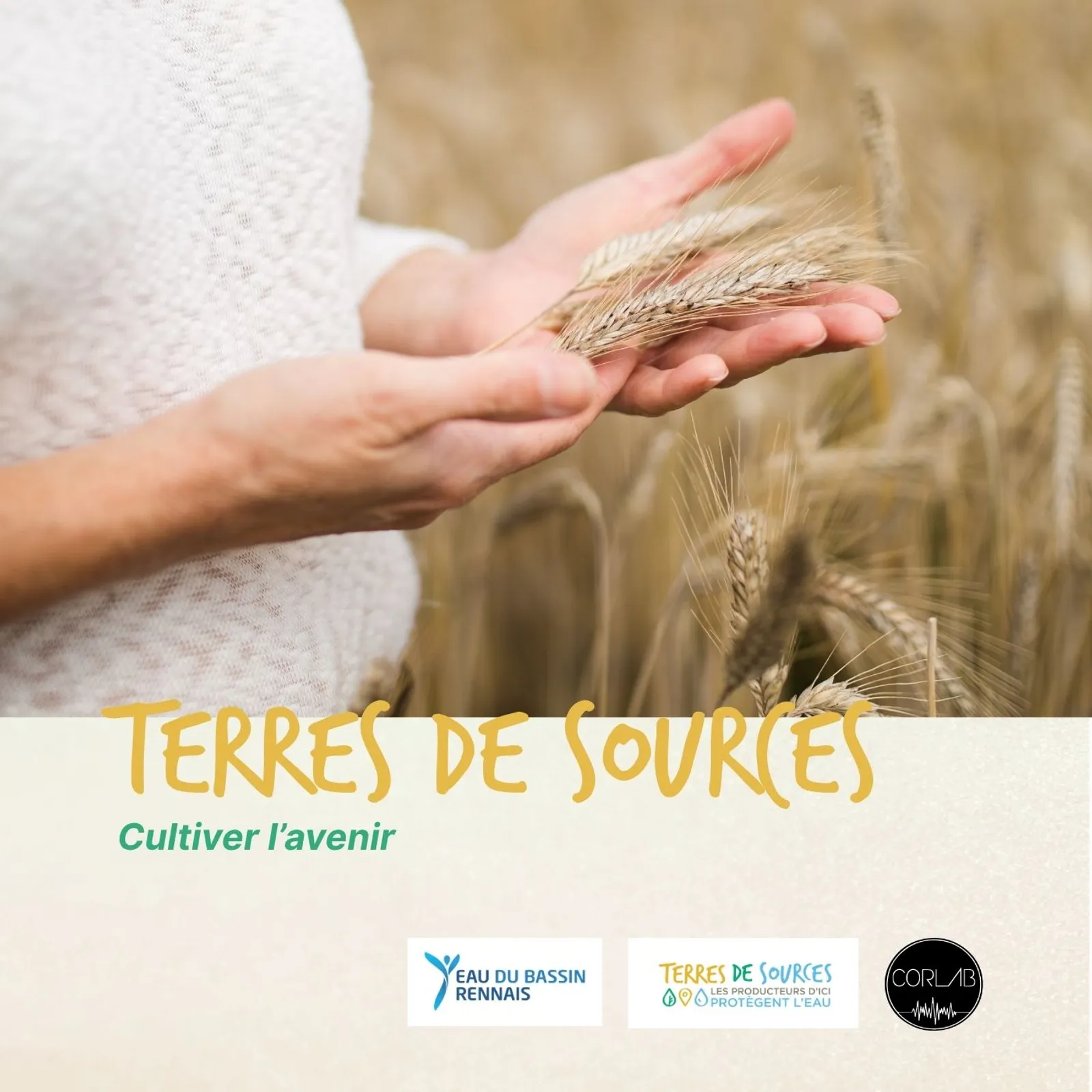 Terres de Sources