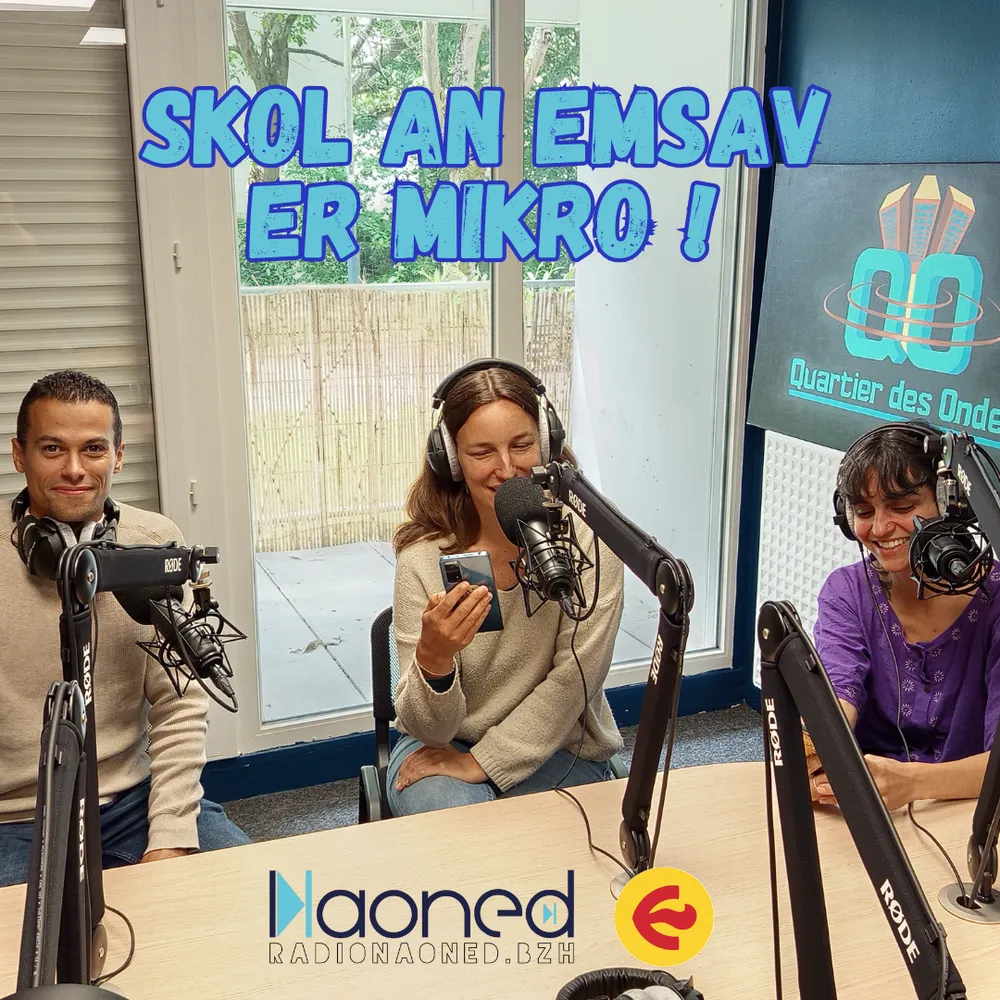 Skol An Emsav er mikro : Des pédagogies différentes