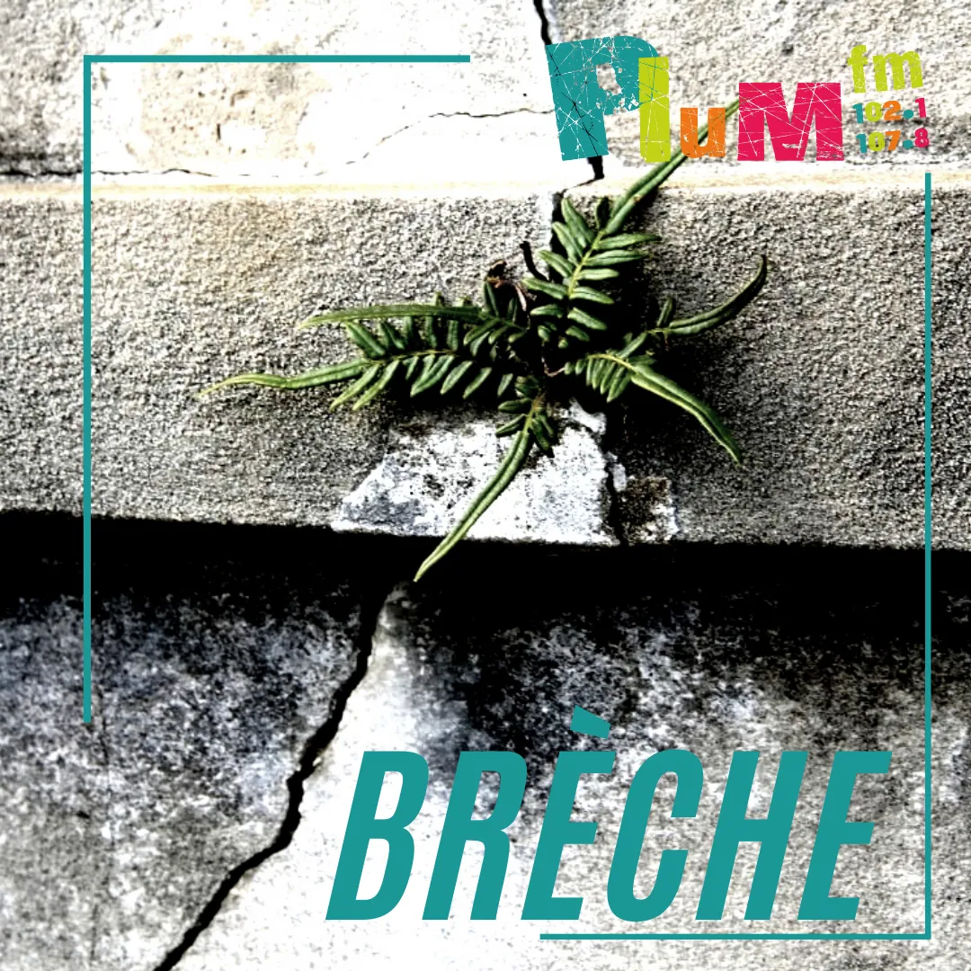 Brèche