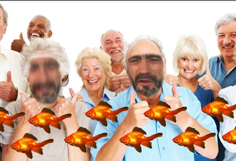 Le Chant de l'Alouette #54