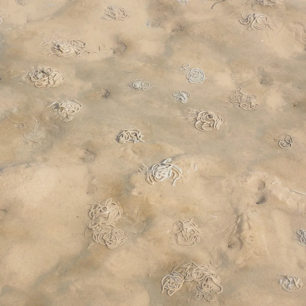 Le Lab U #10 Le Buzuc