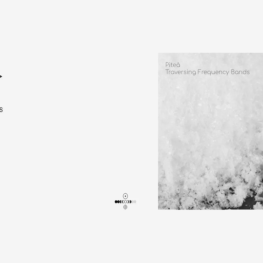 In Vacuum Noctis # 11